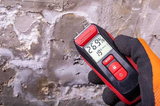 Best Residential Mold Removal  in Waawa, HI
