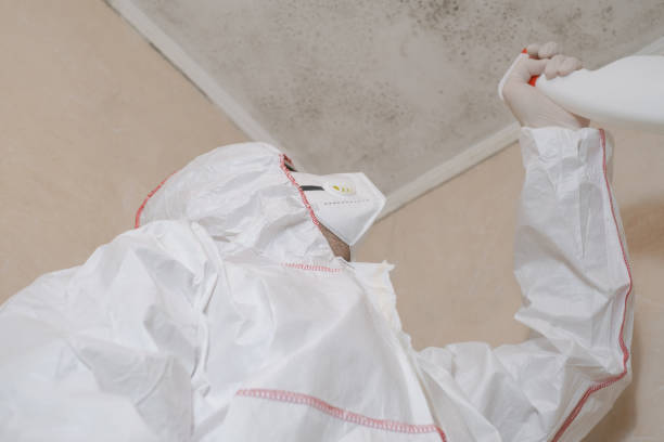 Best Crawl Space Mold Removal  in Waawa, HI