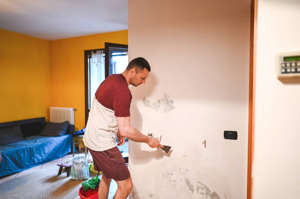 Best Local Mold Removal Service  in Waawa, HI